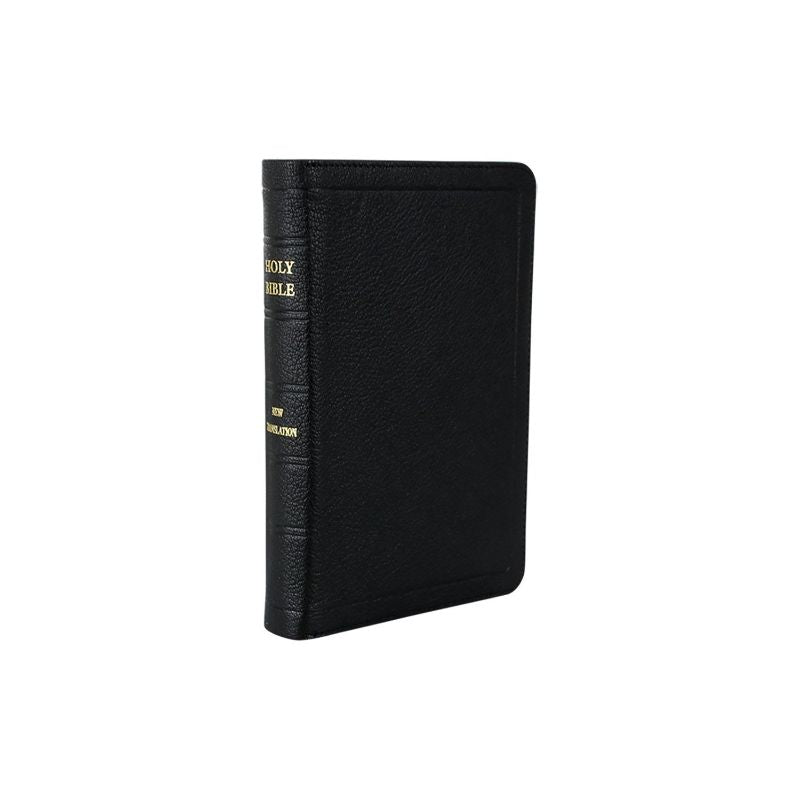 JN Darby Bible Medium Zip Binding No 17